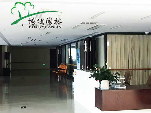 長和天城康復醫院（室內綠化）(圖2)